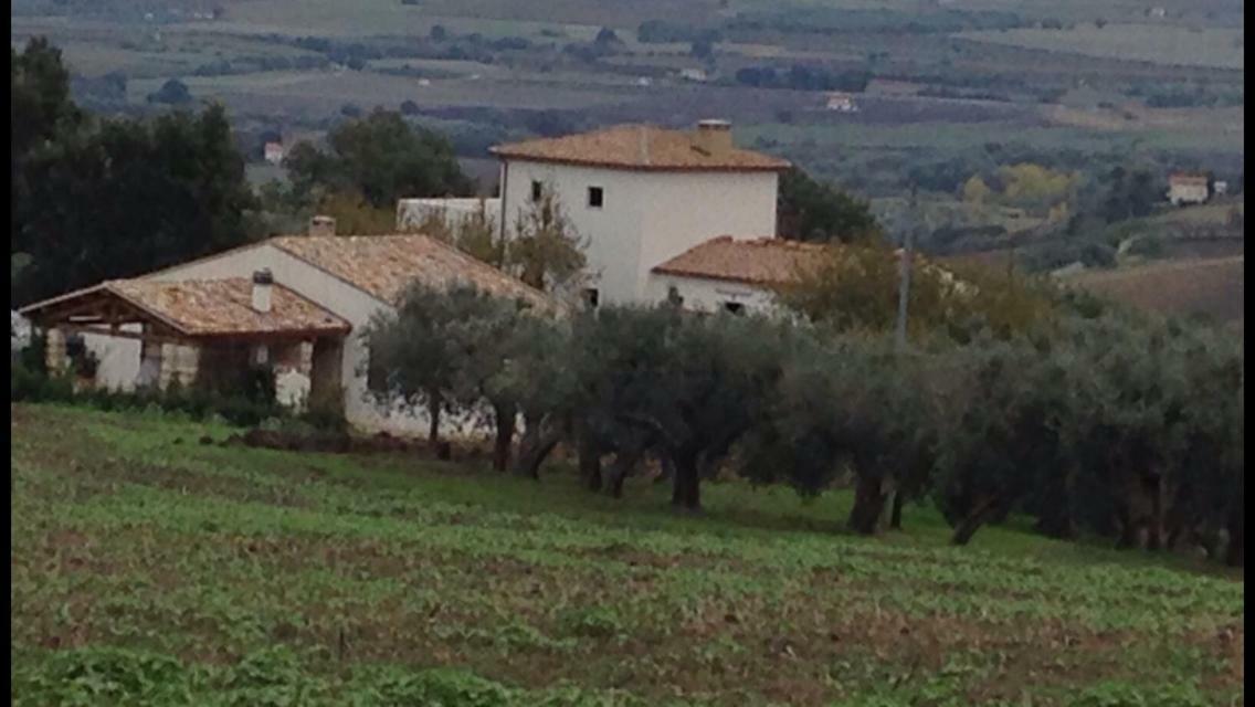 Villa Angiolina, Molise Guglionesi Buitenkant foto